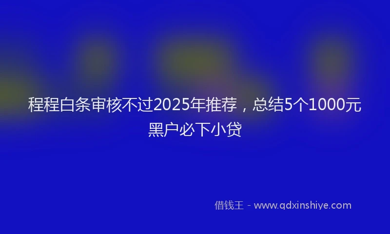 程程白条审核不过2025年推荐，总结5个1000元黑户必下小贷