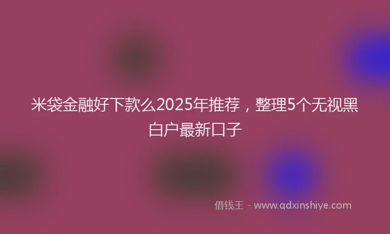 米袋金融好下款么2025年推荐，整理5个无视黑白户最新口子