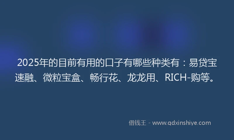 2025年的目前有用的口子有哪些种类有：易贷宝速融、微粒宝盒、畅行花、龙龙用、RICH-购等。