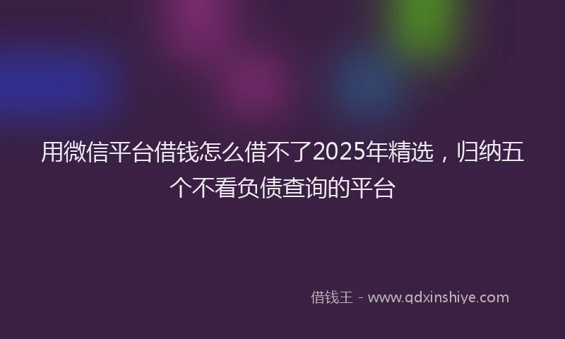 用微信平台借钱怎么借不了2025年精选，归纳五个不看负债查询的平台