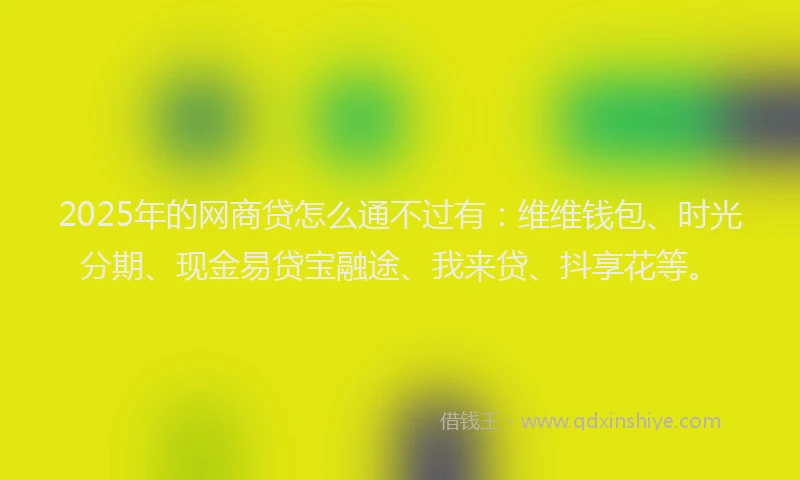 2025年的网商贷怎么通不过有：维维钱包、时光分期、现金易贷宝融途、我来贷、抖享花等。