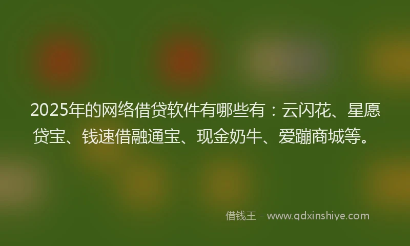 2025年的网络借贷软件有哪些有：云闪花、星愿贷宝、钱速借融通宝、现金奶牛、爱蹦商城等。