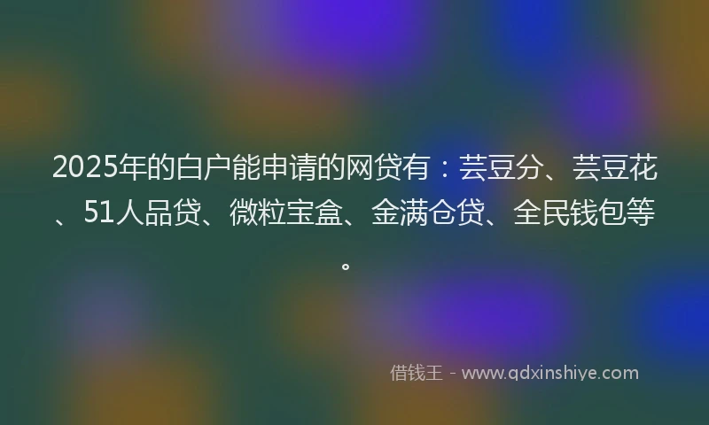 2025年的白户能申请的网贷有：芸豆分、芸豆花、51人品贷、微粒宝盒、金满仓贷、全民钱包等。