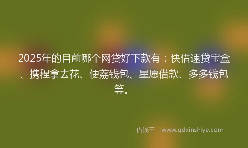 2025年的目前哪个网贷好下款有：快借速贷宝盒、携程拿去花、便荔钱包、星愿借款、多多钱包等。
