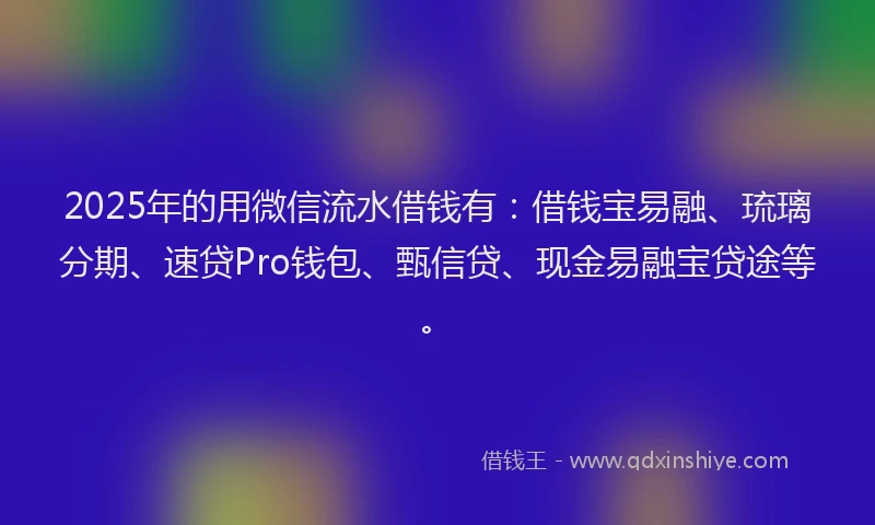 2025年的用微信流水借钱有：借钱宝易融、琉璃分期、速贷Pro钱包、甄信贷、现金易融宝贷途等。