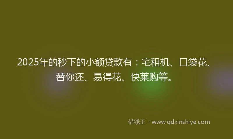 2025年的秒下的小额贷款有：宅租机、口袋花、替你还、易得花、快莱购等。
