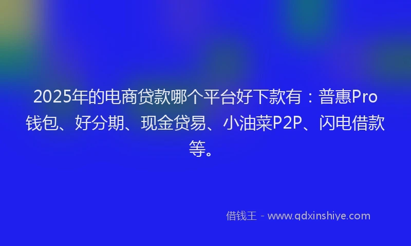 2025年的电商贷款哪个平台好下款有：普惠Pro钱包、好分期、现金贷易、小油菜P2P、闪电借款等。