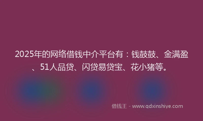 2025年的网络借钱中介平台有：钱鼓鼓、金满盈、51人品贷、闪贷易贷宝、花小猪等。
