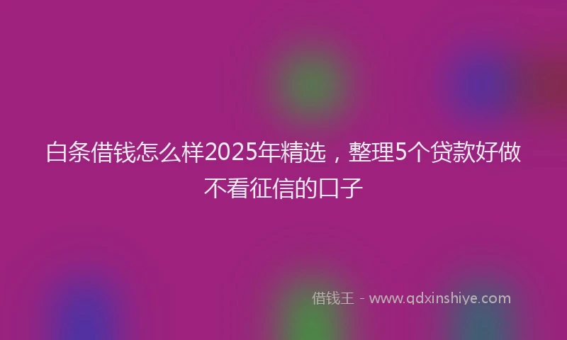 白条借钱怎么样2025年精选，整理5个贷款好做不看征信的口子