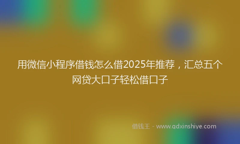 用微信小程序借钱怎么借2025年推荐，汇总五个网贷大口子轻松借口子