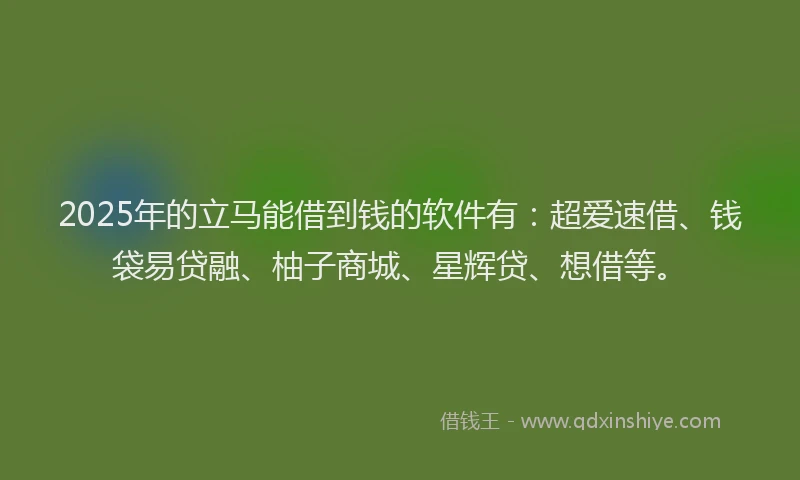 2025年的立马能借到钱的软件有：超爱速借、钱袋易贷融、柚子商城、星辉贷、想借等。