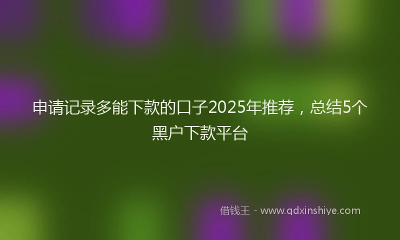 申请记录多能下款的口子2025年推荐，总结5个黑户下款平台