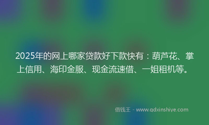 2025年的网上哪家贷款好下款快有：葫芦花、掌上信用、海印金服、现金流速借、一姐租机等。