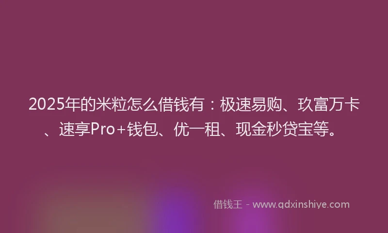 2025年的米粒怎么借钱有：极速易购、玖富万卡、速享Pro+钱包、优一租、现金秒贷宝等。