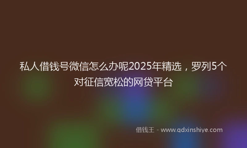 私人借钱号微信怎么办呢2025年精选，罗列5个对征信宽松的网贷平台