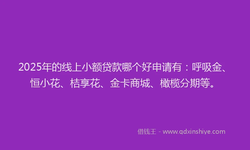 2025年的线上小额贷款哪个好申请有：呼吸金、恒小花、桔享花、金卡商城、橄榄分期等。