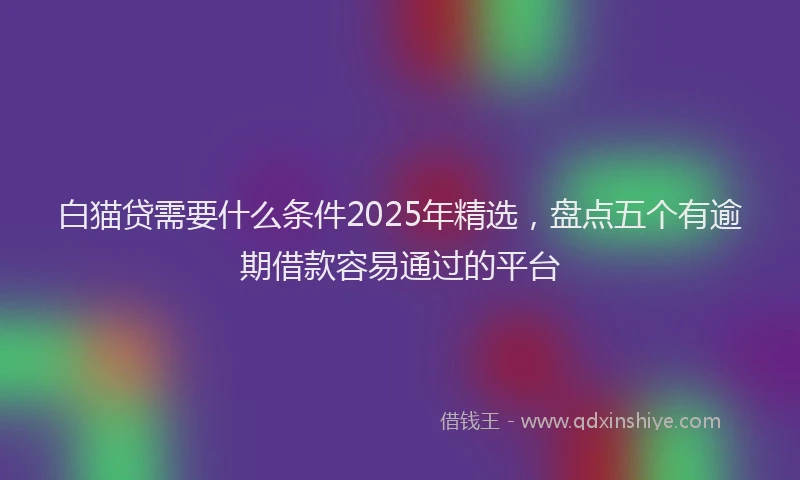 白猫贷需要什么条件2025年精选，盘点五个有逾期借款容易通过的平台