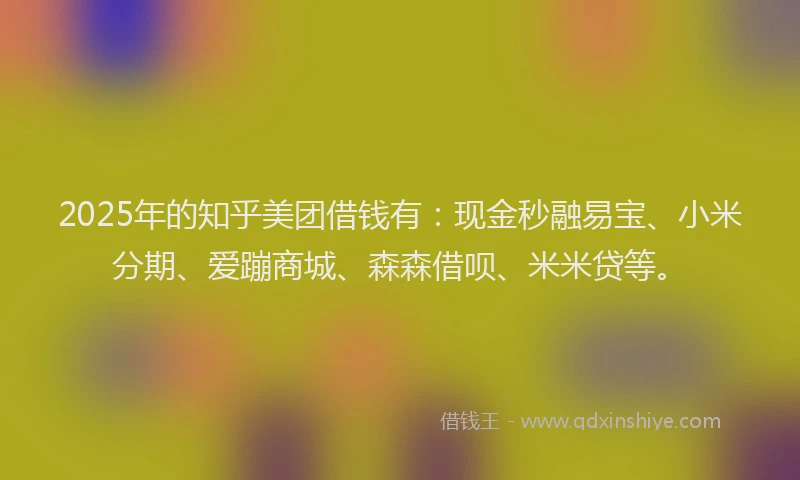 2025年的知乎美团借钱有：现金秒融易宝、小米分期、爱蹦商城、森森借呗、米米贷等。
