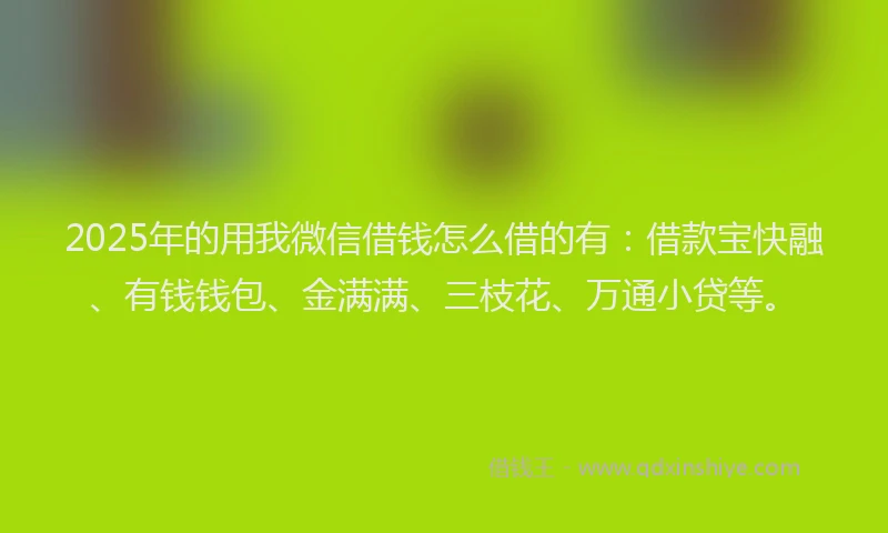 2025年的用我微信借钱怎么借的有：借款宝快融、有钱钱包、金满满、三枝花、万通小贷等。