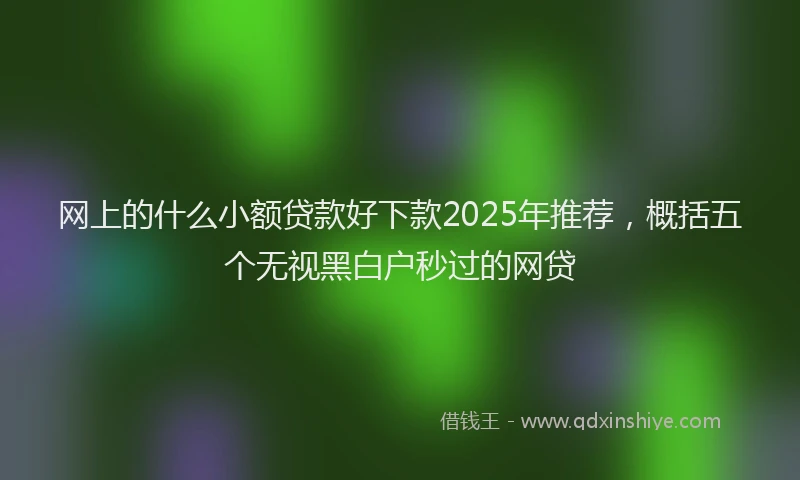 网上的什么小额贷款好下款2025年推荐，概括五个无视黑白户秒过的网贷
