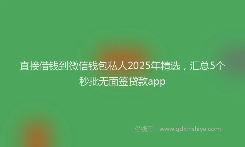 直接借钱到微信钱包私人2025年精选，汇总5个秒批无面签贷款app