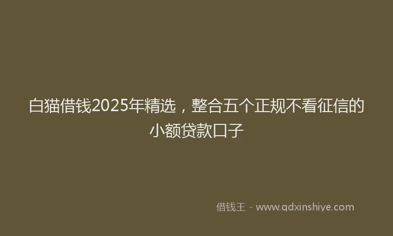 白猫借钱2025年精选，整合五个正规不看征信的小额贷款口子