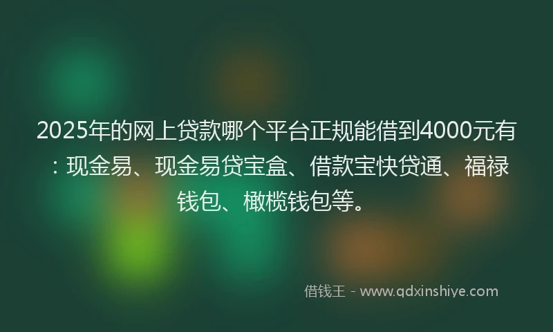 2025年的网上贷款哪个平台正规能借到4000元有：现金易、现金易贷宝盒、借款宝快贷通、福禄钱包、橄榄钱包等。