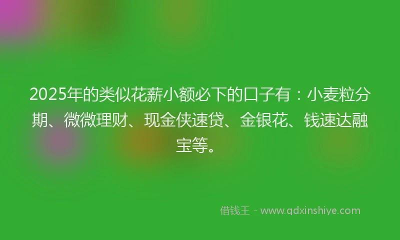 2025年的类似花薪小额必下的口子有：小麦粒分期、微微理财、现金侠速贷、金银花、钱速达融宝等。