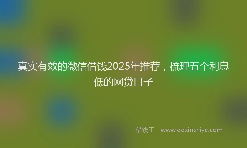 真实有效的微信借钱2025年推荐，梳理五个利息低的网贷口子
