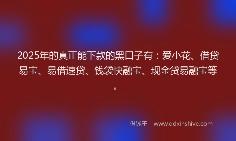 2025年的真正能下款的黑口子有：爱小花、借贷易宝、易借速贷、钱袋快融宝、现金贷易融宝等。