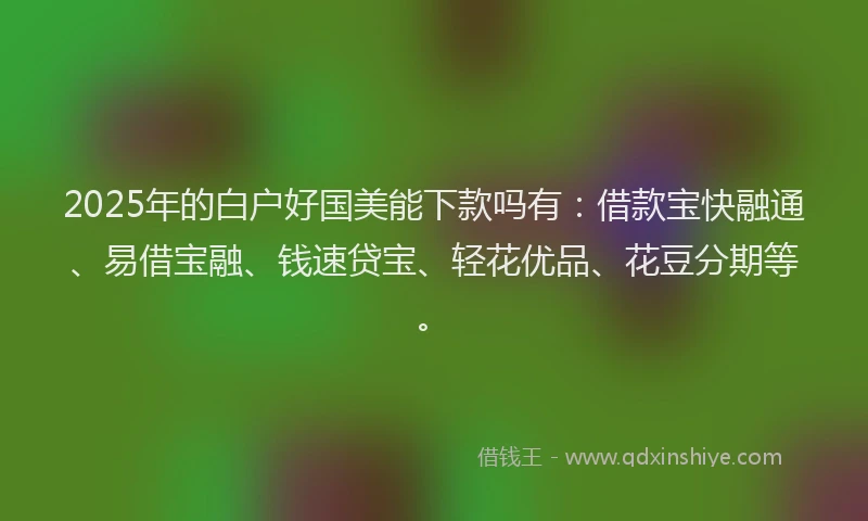 2025年的白户好国美能下款吗有：借款宝快融通、易借宝融、钱速贷宝、轻花优品、花豆分期等。