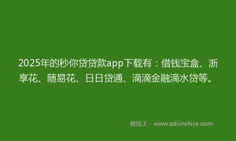 2025年的秒你贷贷款app下载有：借钱宝盒、浙享花、随易花、日日贷通、滴滴金融滴水贷等。