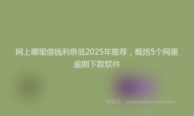 网上哪里借钱利息低2025年推荐，概括5个网黑逾期下款软件