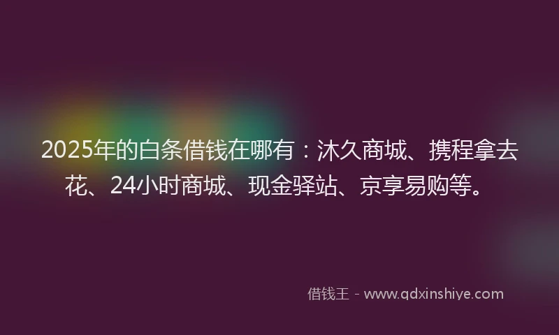 2025年的白条借钱在哪有：沐久商城、携程拿去花、24小时商城、现金驿站、京享易购等。