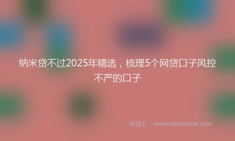 纳米贷不过2025年精选，梳理5个网贷口子风控不严的口子