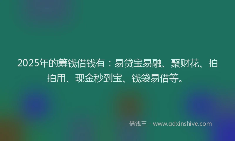 2025年的筹钱借钱有：易贷宝易融、聚财花、拍拍用、现金秒到宝、钱袋易借等。