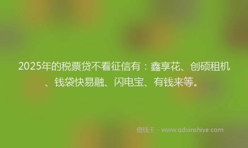 2025年的税票贷不看征信有：鑫享花、创硕租机、钱袋快易融、闪电宝、有钱来等。