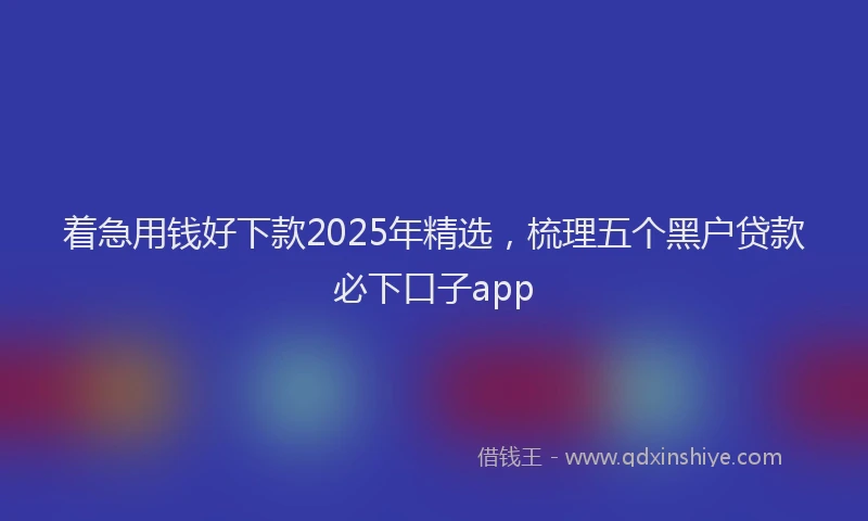 着急用钱好下款2025年精选，梳理五个黑户贷款必下口子app