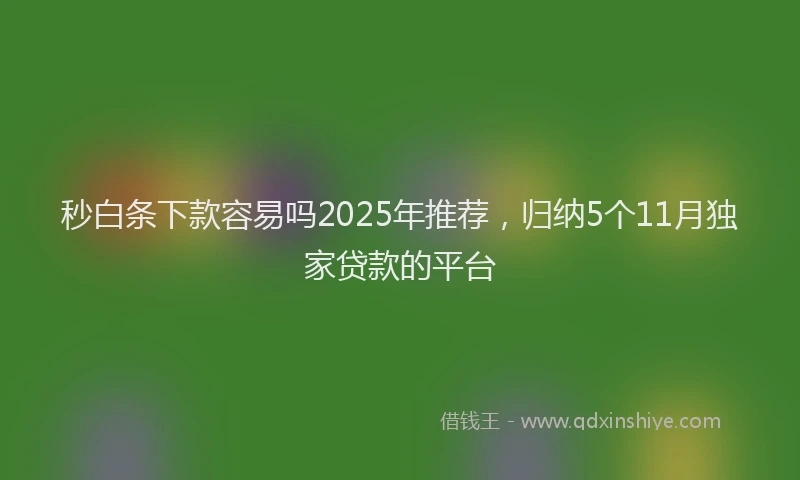 秒白条下款容易吗2025年推荐，归纳5个11月独家贷款的平台