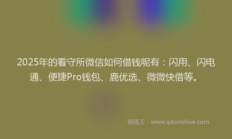 2025年的看守所微信如何借钱呢有：闪用、闪电通、便捷Pro钱包、鹿优选、微微快借等。