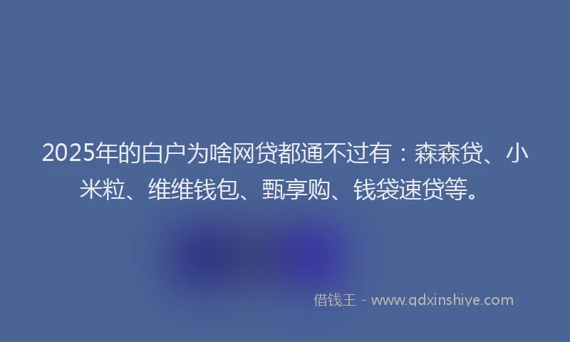2025年的白户为啥网贷都通不过有：森森贷、小米粒、维维钱包、甄享购、钱袋速贷等。