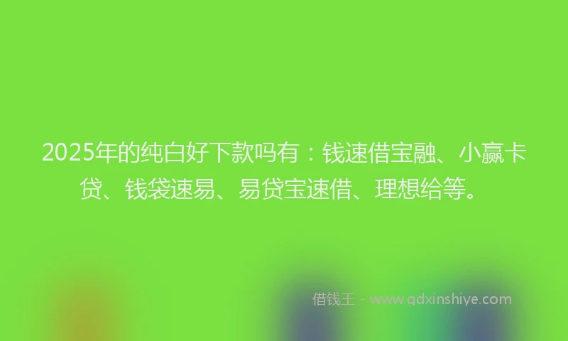 2025年的纯白好下款吗有：钱速借宝融、小赢卡贷、钱袋速易、易贷宝速借、理想给等。