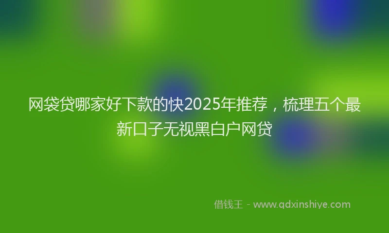 网袋贷哪家好下款的快2025年推荐，梳理五个最新口子无视黑白户网贷