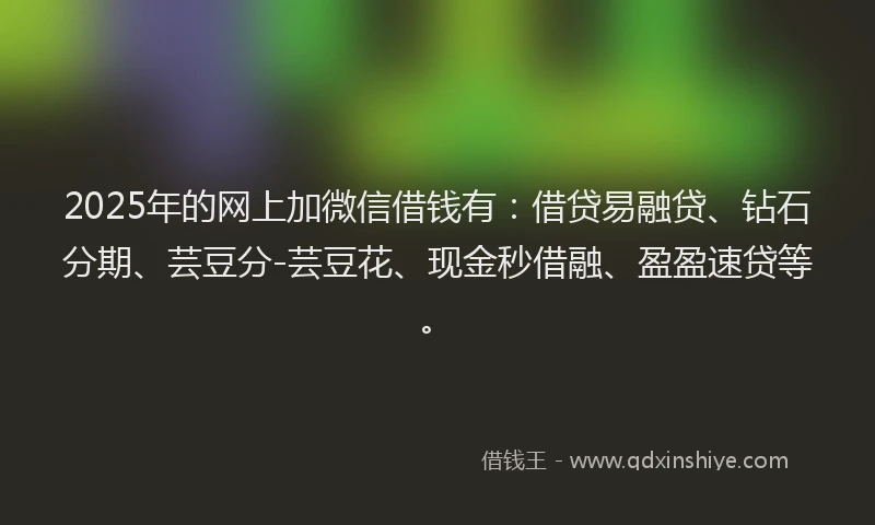 2025年的网上加微信借钱有：借贷易融贷、钻石分期、芸豆分-芸豆花、现金秒借融、盈盈速贷等。
