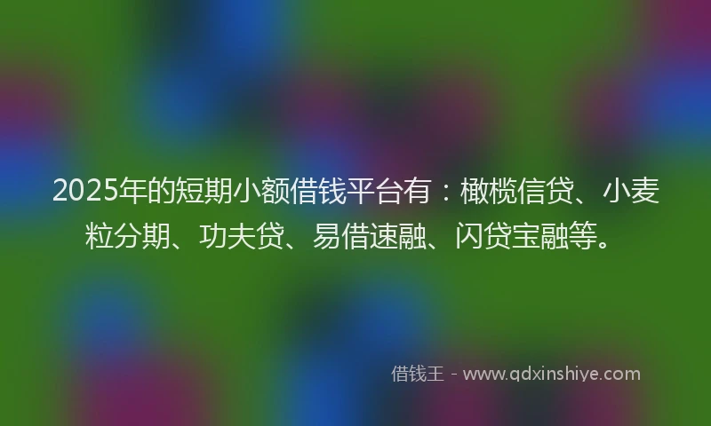 2025年的短期小额借钱平台有：橄榄信贷、小麦粒分期、功夫贷、易借速融、闪贷宝融等。