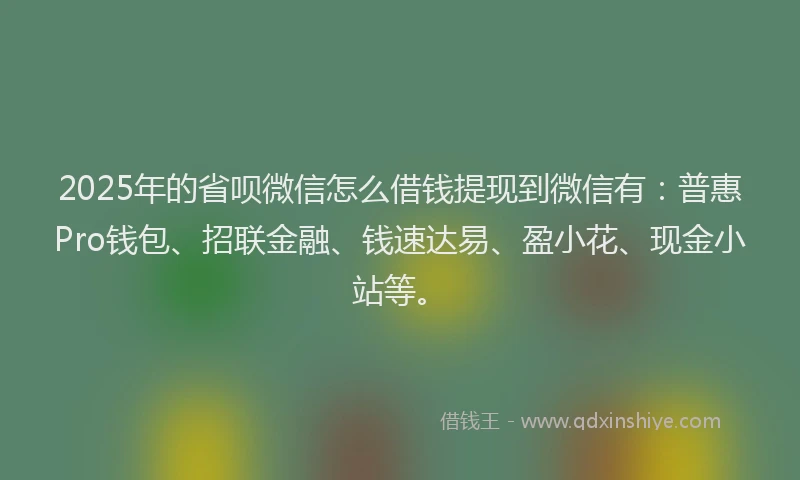 2025年的省呗微信怎么借钱提现到微信有：普惠Pro钱包、招联金融、钱速达易、盈小花、现金小站等。