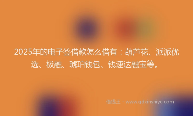 2025年的电子签借款怎么借有：葫芦花、派派优选、极融、琥珀钱包、钱速达融宝等。