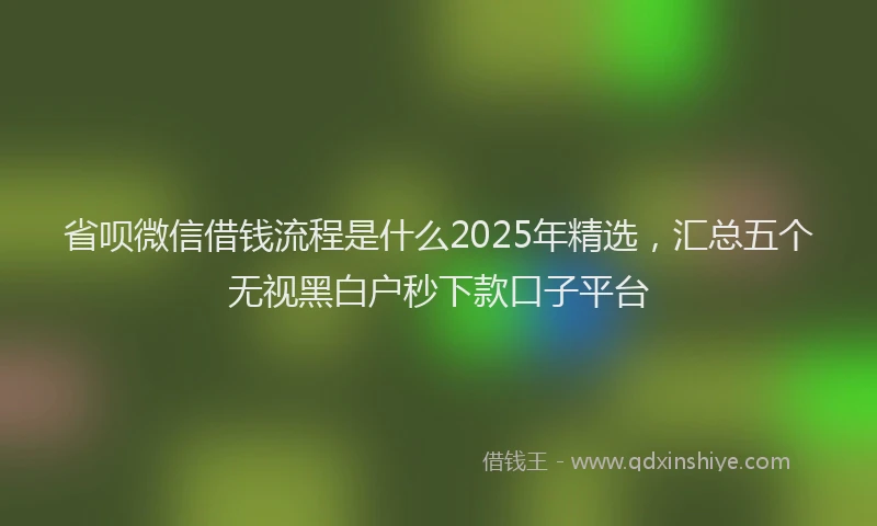 省呗微信借钱流程是什么2025年精选，汇总五个无视黑白户秒下款口子平台