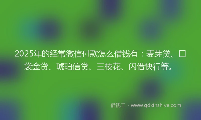 2025年的经常微信付款怎么借钱有：麦芽贷、口袋金贷、琥珀信贷、三枝花、闪借快行等。