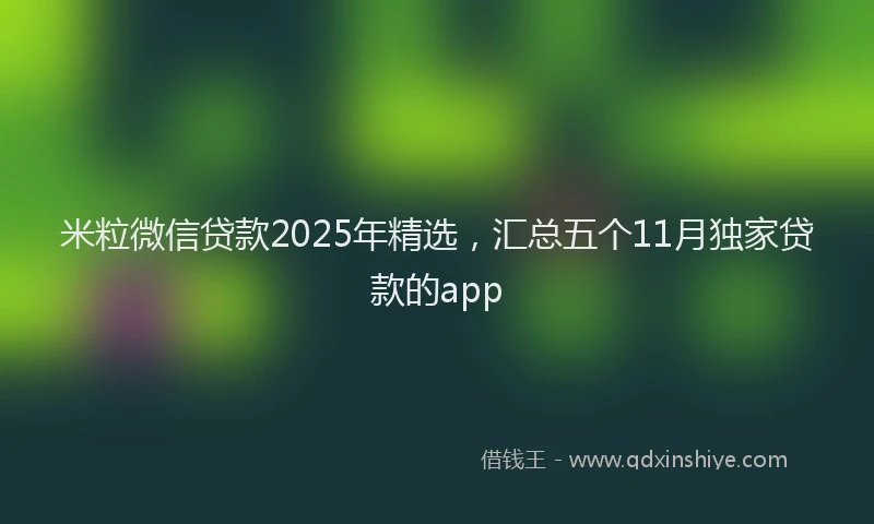 米粒微信贷款2025年精选，汇总五个11月独家贷款的app